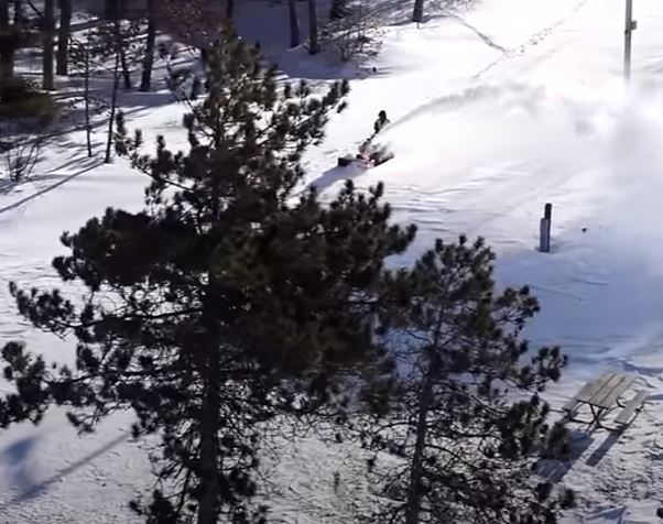 Ice Storm Tree Damage in Oregon City: Prevention and Recovery