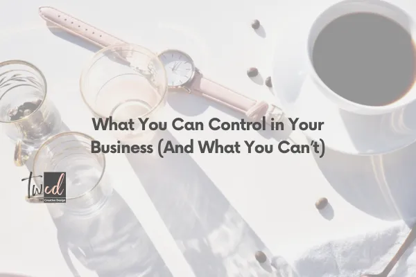 What You Can Control in Your Business