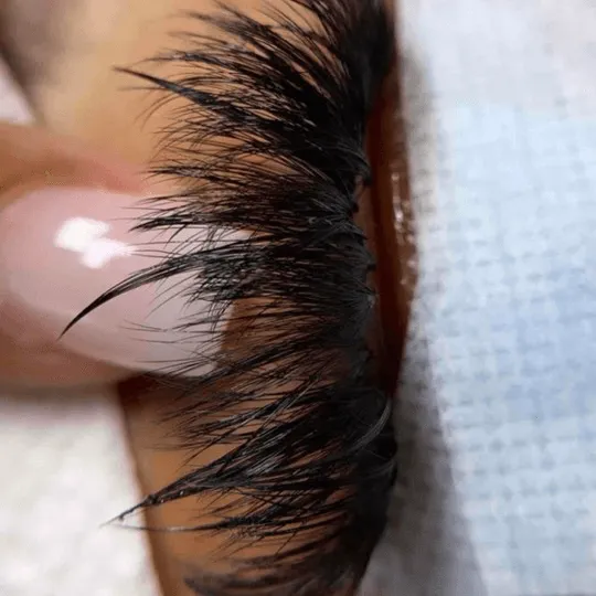 Classic lash bases with clean isolation — Lashes by Saby
