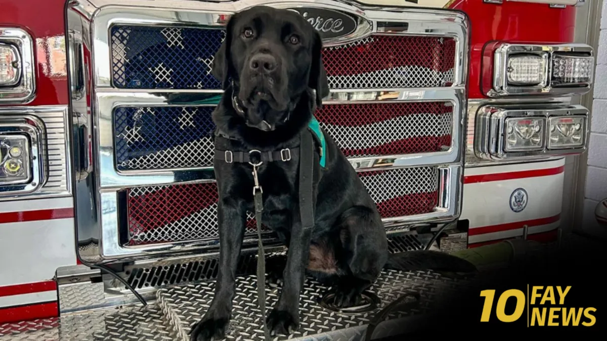 FFD Welcomes "Griffith" to Its Ranks as First Crisis Response Dog