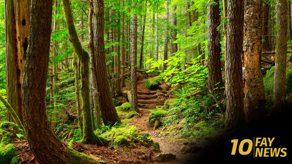 Eastern North Carolina Trails Receive $2.6 Million Boost from Great Trails State Program