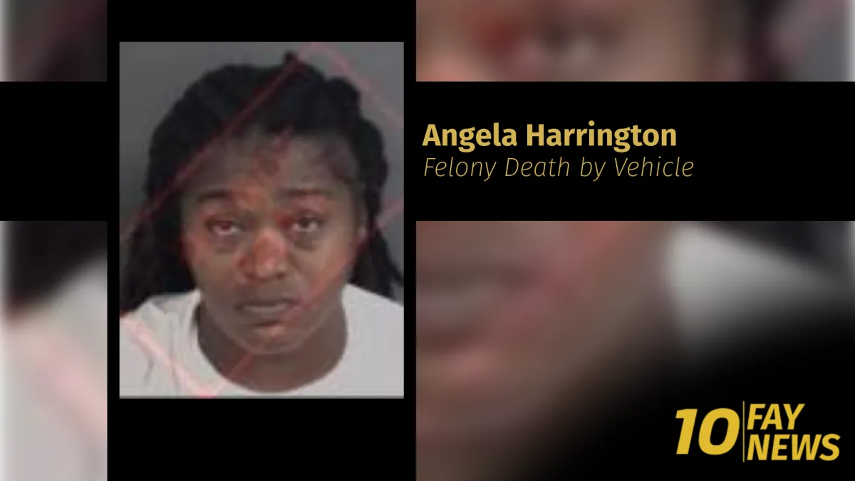 Driver Arrested in Fatal Hit and Run Last Night