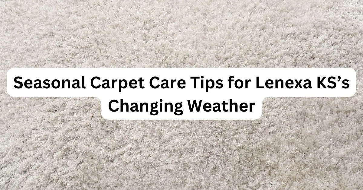 Seasonal Carpet Care Tips for Lenexa KS’s Changing Weather