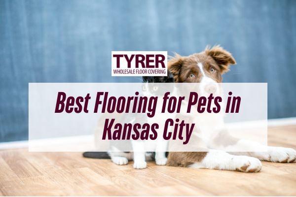 Best Flooring for Pets in Kansas City
