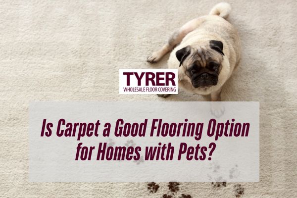 Is Carpet a Good Flooring Option for Homes with Pets?