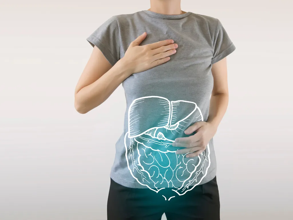 Healthy Digestive Systems