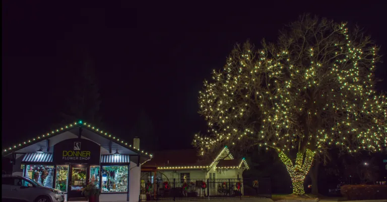 Twinkling Christmas lights illuminating a beautifully decorated business storefront during the holiday season, creating a festive and inviting atmosphere.