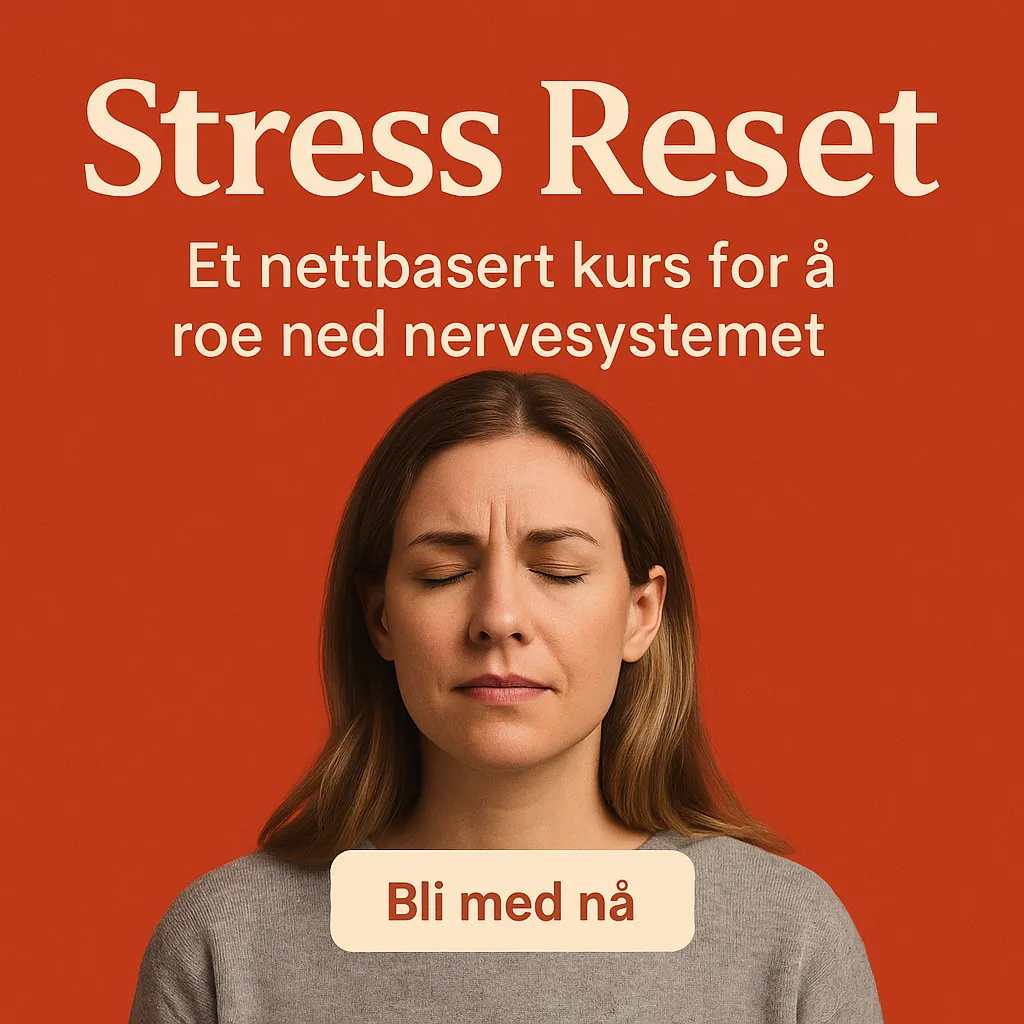 Hvorfor jeg laget Stress Reset – og hvorfor du trenger det
