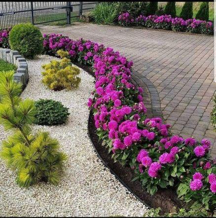 How to Revitalize Your Backyard: Common Landscaping Problems Solved by Experts in Thousand Oaks