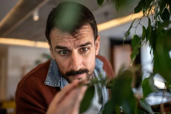 What to Do When Interior Plants Show Signs of Pest Infestation