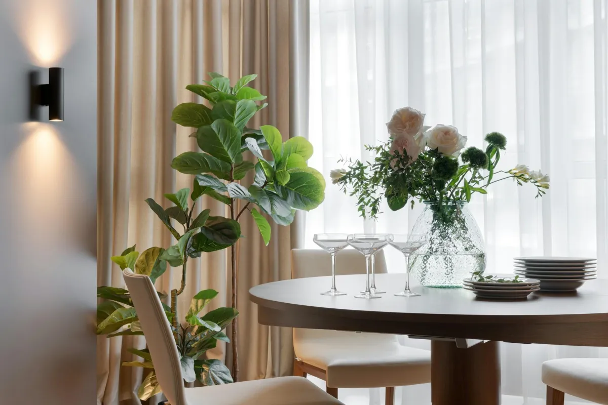 Dealing with Plant Shock After Interior Installation