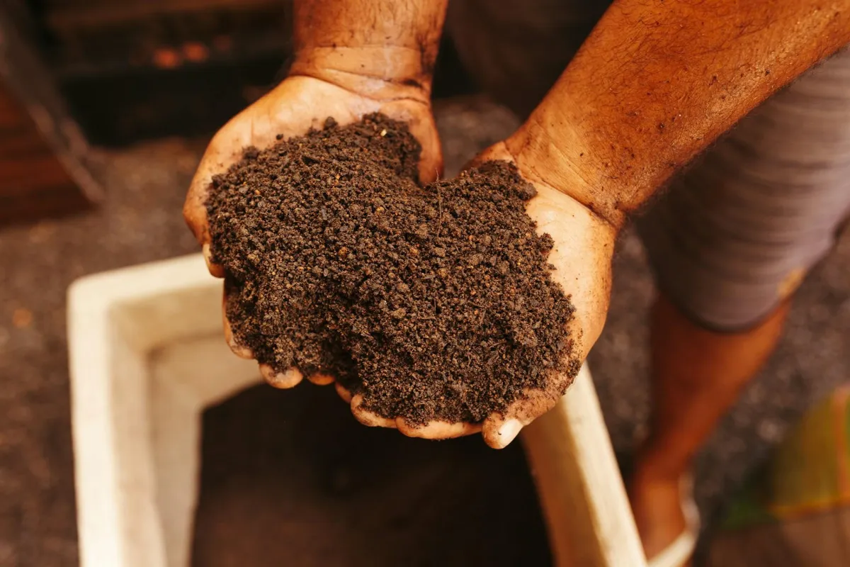 Fixing Poor Soil Quality in Your Thousand Oaks Garden