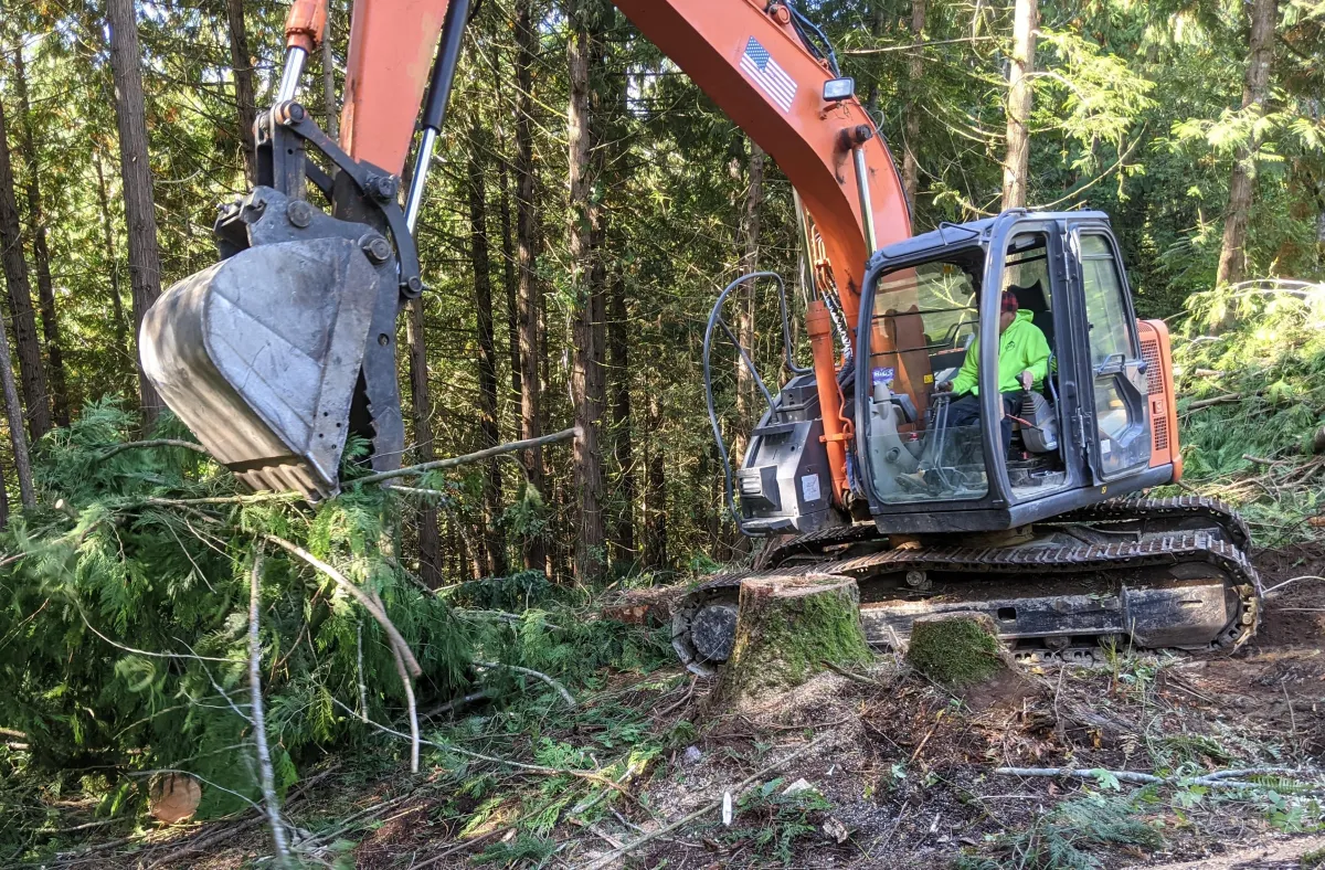 land-clearing-near-king-county
