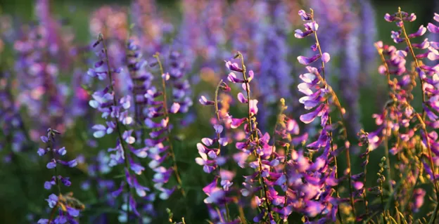 Spring Newsletter