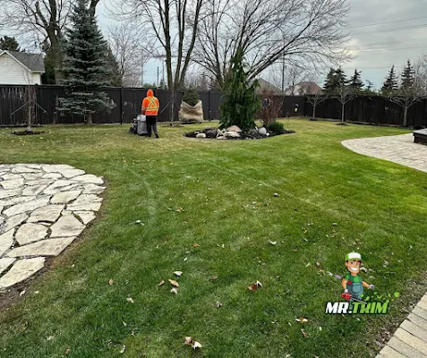 Seasonal Yard