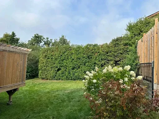 Trim Landscaping