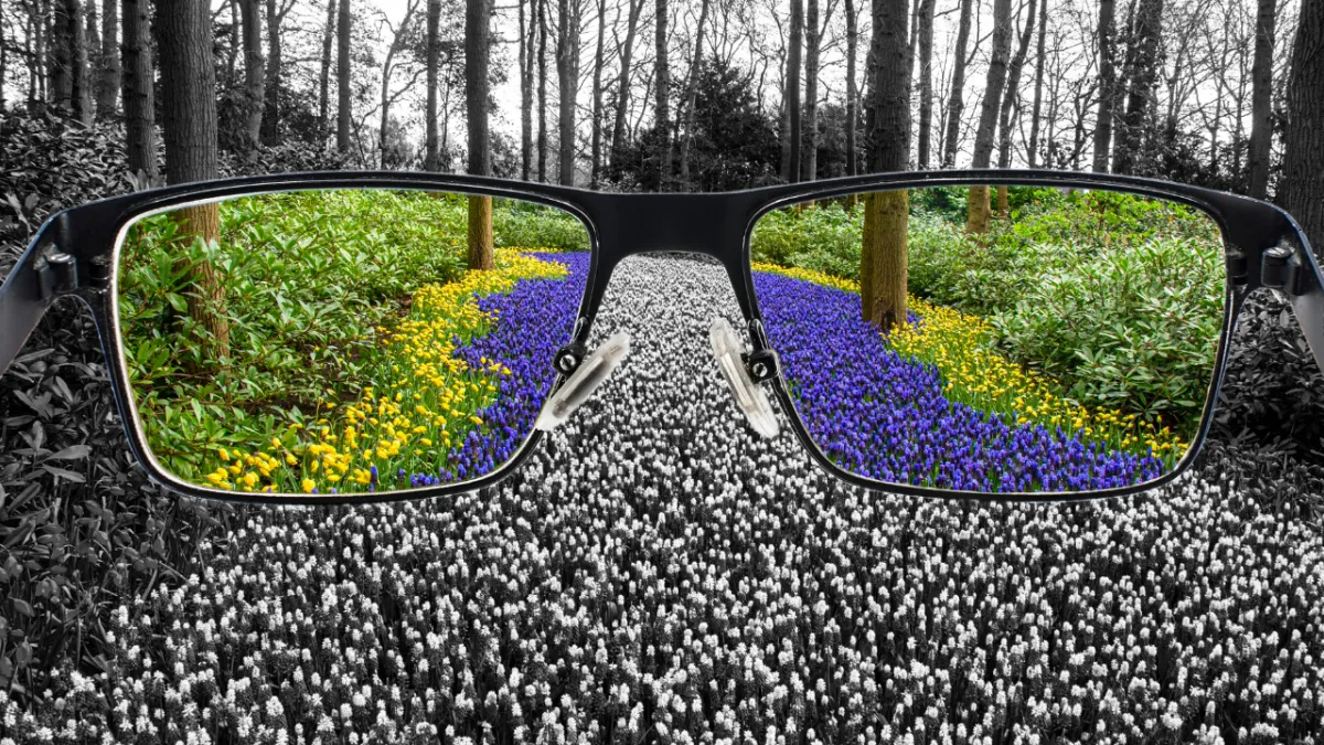 How the Heart Leads Perception—Ancient Insights for Modern Decision-Making