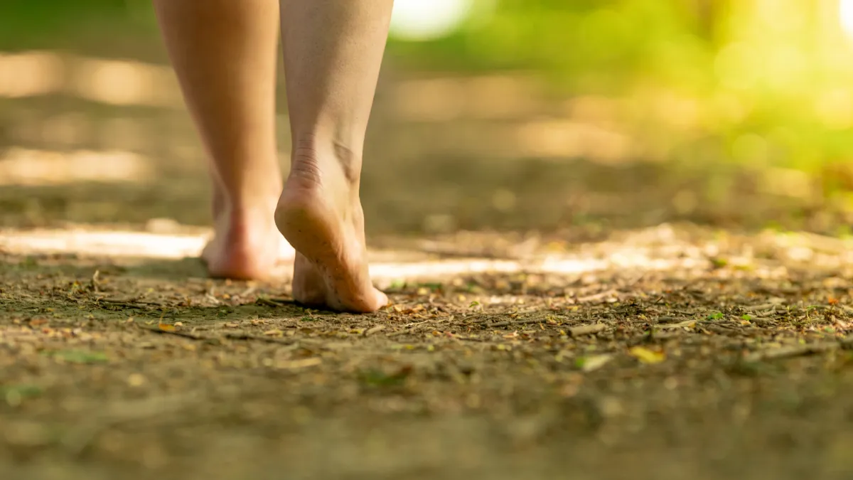 A person walking barefoot along a quiet forest path, light filtering through the trees