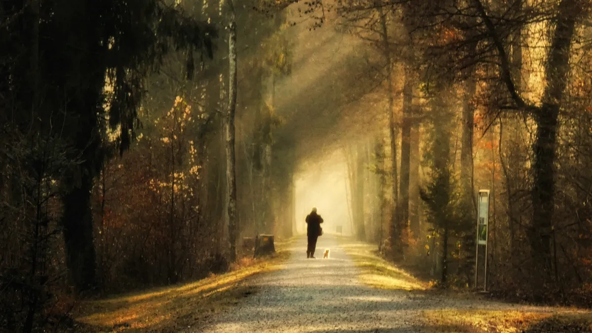 You’re Not Too Sensitive—You’re Built to Perceive What Others Miss