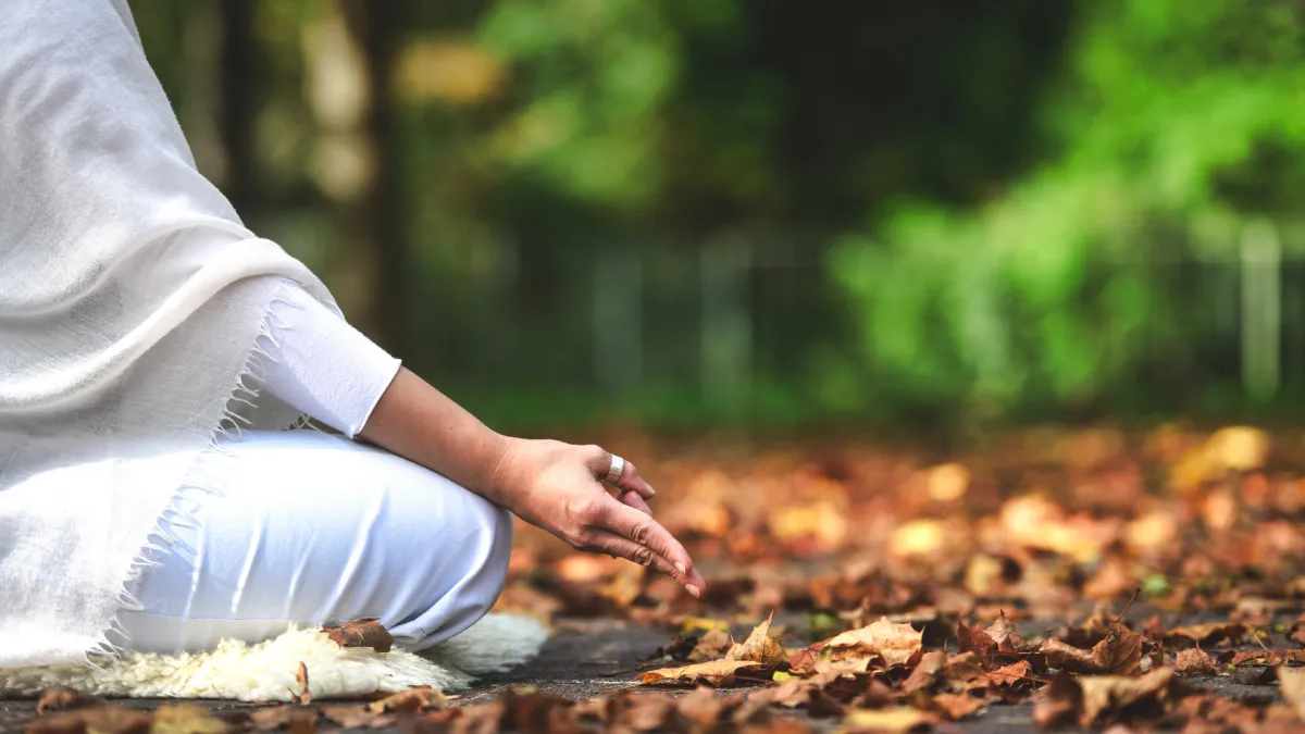 Tuning Your Field: Practical Steps to Work With Frequency Daily