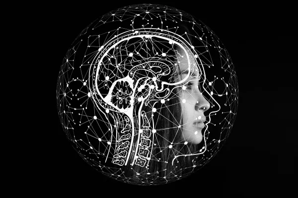 brain rewiring