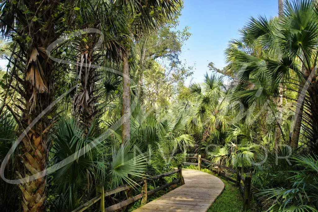 Economic Spotlight – Ocala