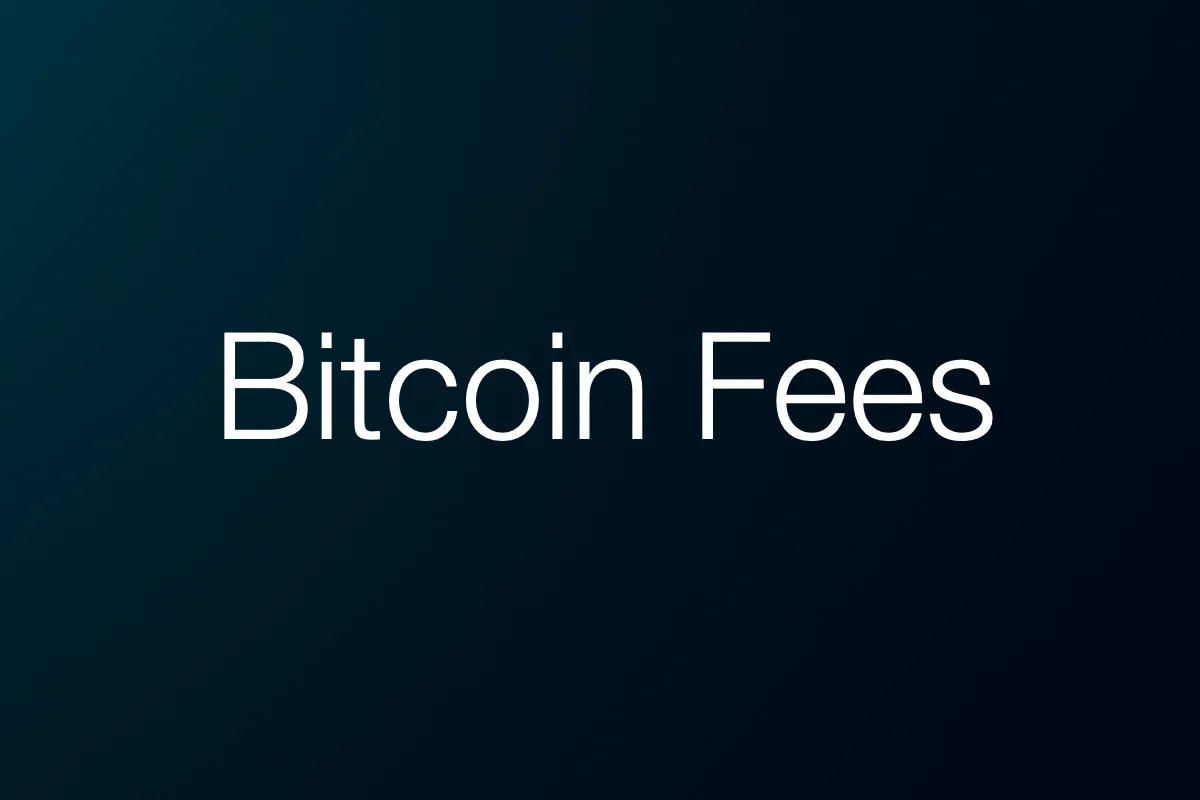 The Most Efficient Financial Network on the Planet