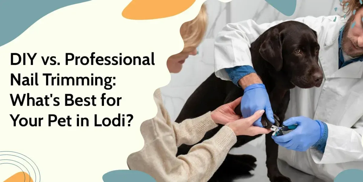 DIY vs. Professional Nail Trimming: What's Best for Your Pet in Lodi?