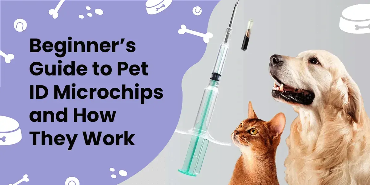 A Beginner’s Guide to Pet ID Microchips and How They Work