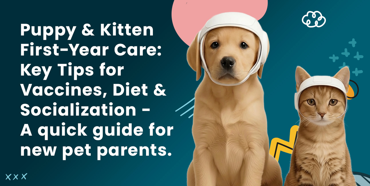 Puppy & Kitten First-Year Care in Lodi CA | A Quick Guide for New Pet Parents