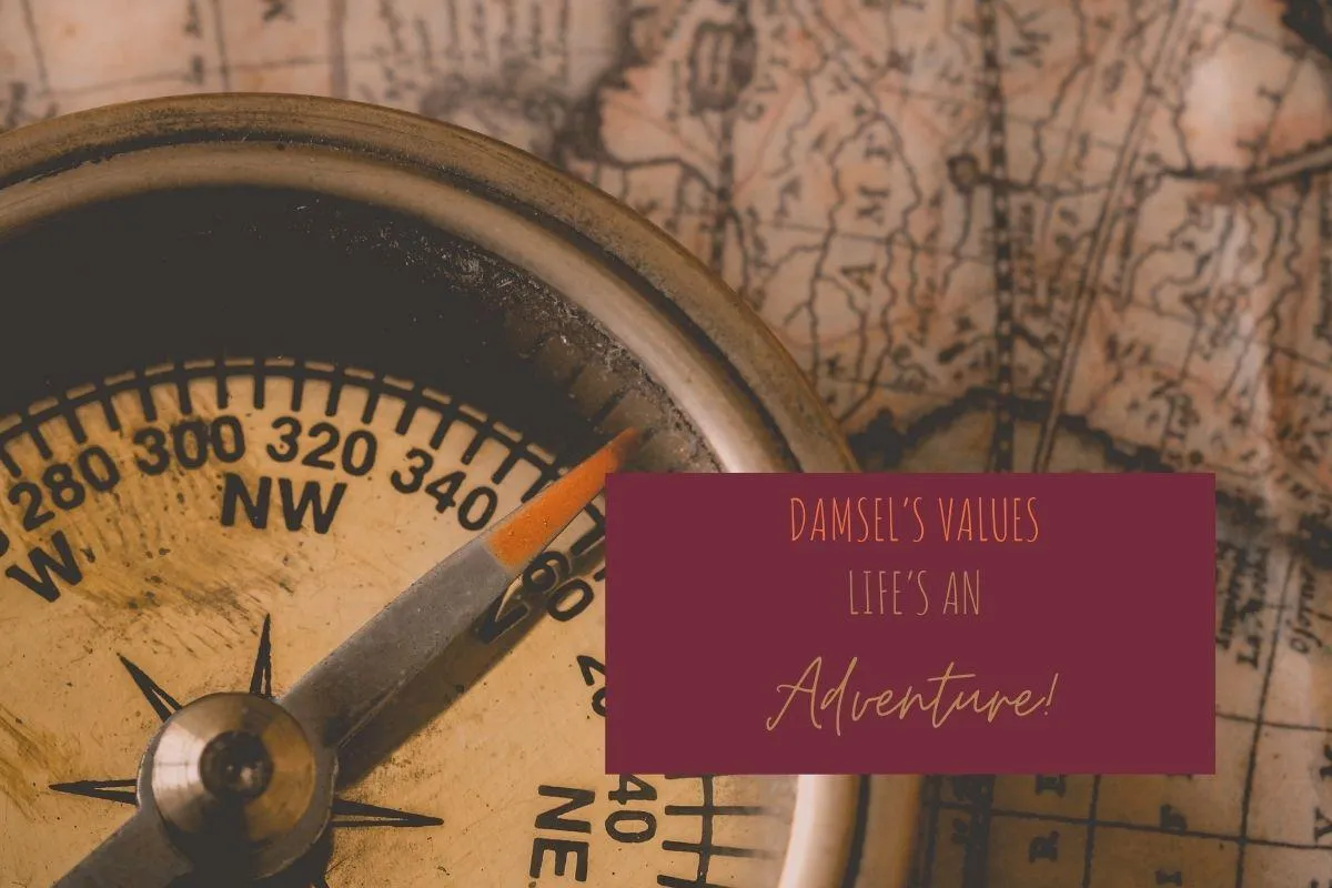 Damsel's Values: Life's an adventure!