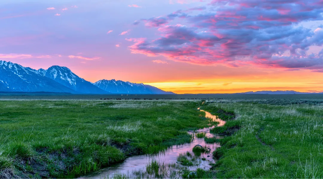 Deepens Understanding