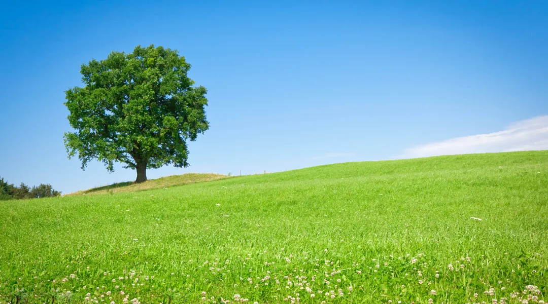 prevent-misinterpretation-of-the-bible