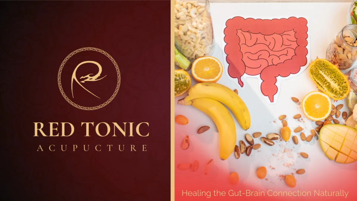 The Gut-Brain Connection: How Holistic Medicine Helps Digestive Health