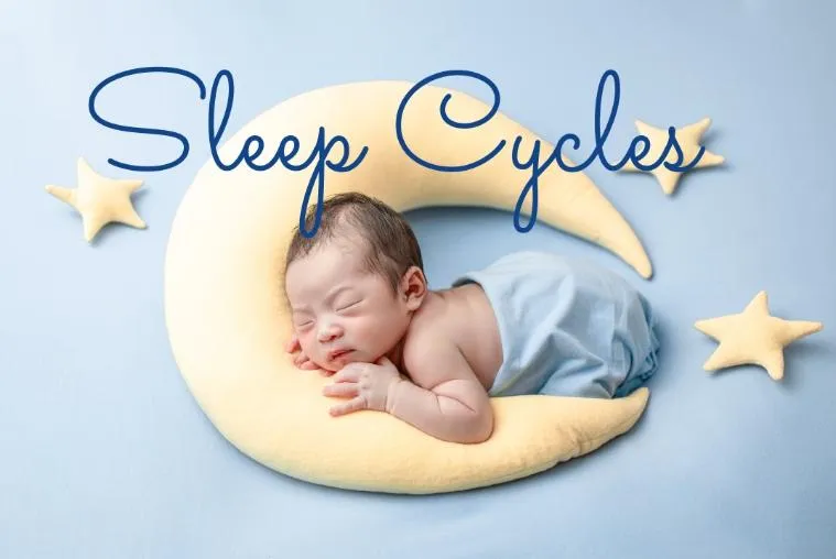 Sleep Cycles 