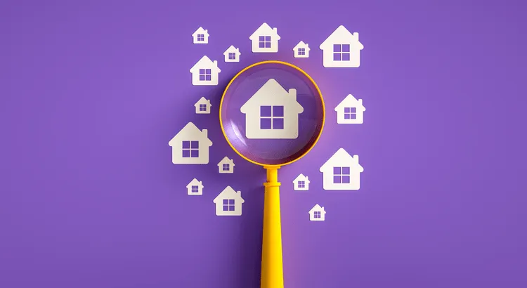 Home Icon Magnified