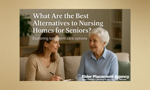 What Are the Best Alternatives to Nursing Homes for Seniors?
