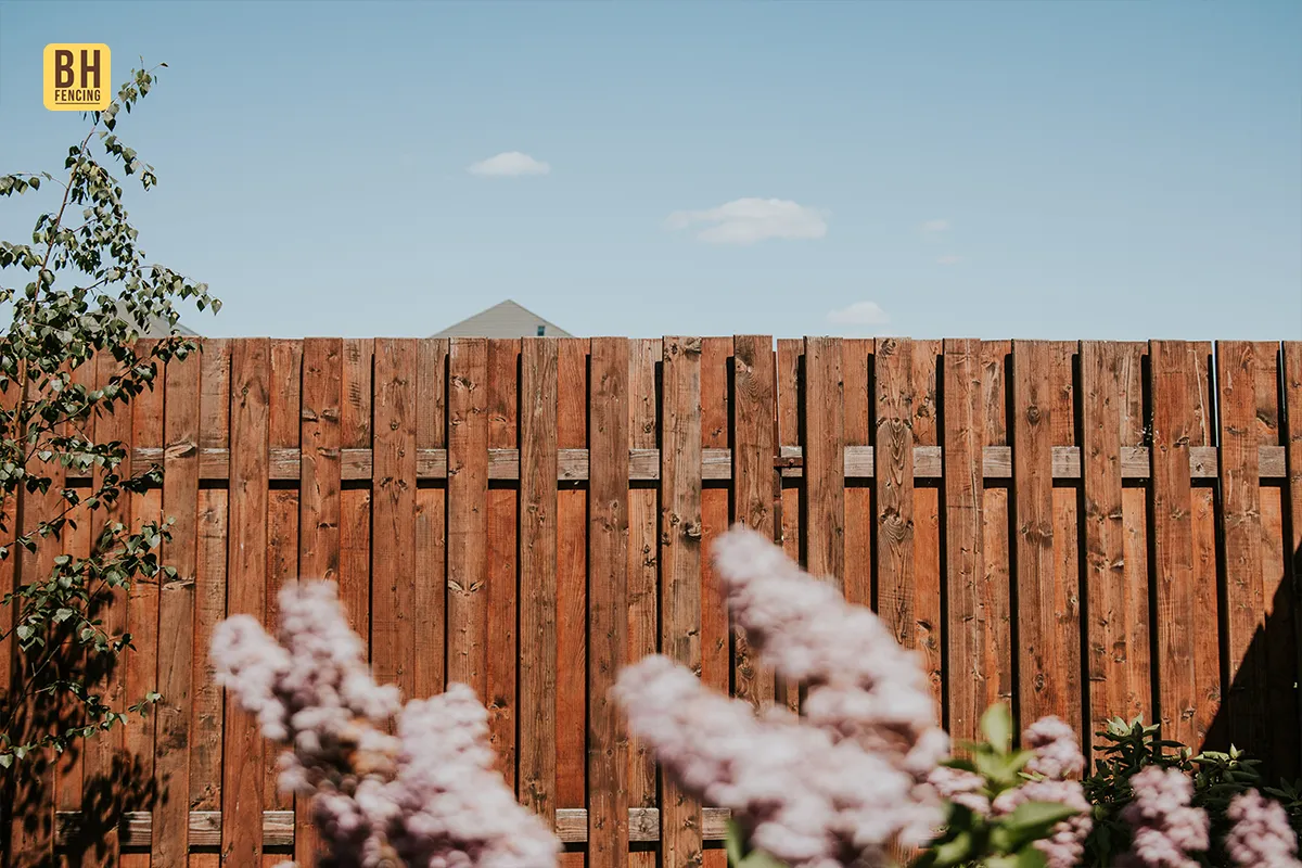 Don’t Let the Heat Win: Summer Fence Care Tips That Actually Work