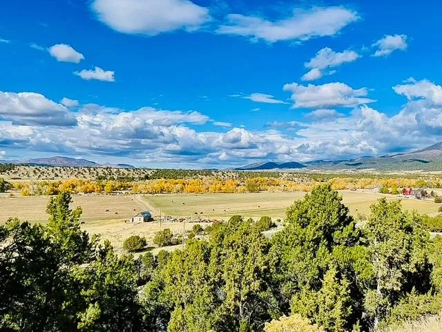 Looking out over the fall leaves near Beaver Utah