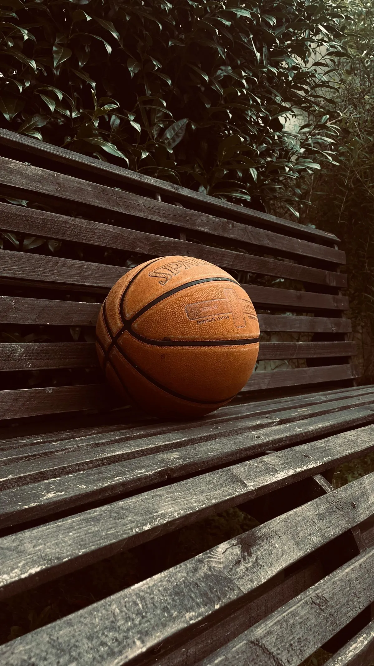 lukas-wenzl photo of a basketball on a bench to demonstrate a busy time of life for families