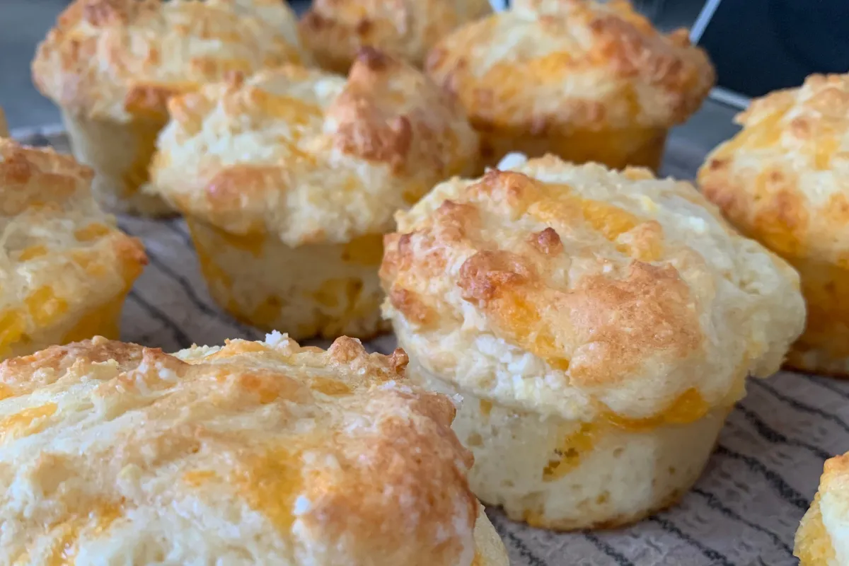 Cheese Muffins