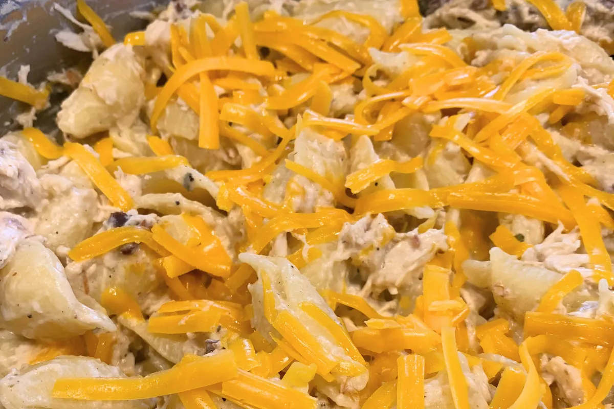 Shell Noodle Casserole