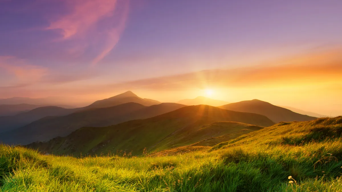 The Quiet Power of Emotional Truth: A New Path to Aligned Success