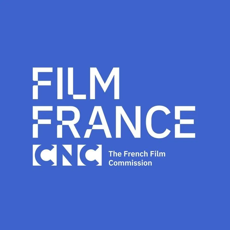 French Cinema's Unique Setup