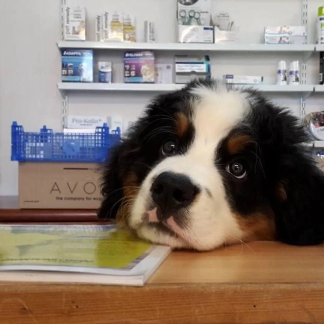 Why Your Practice Brand Matters More Than You Think  Blog Post