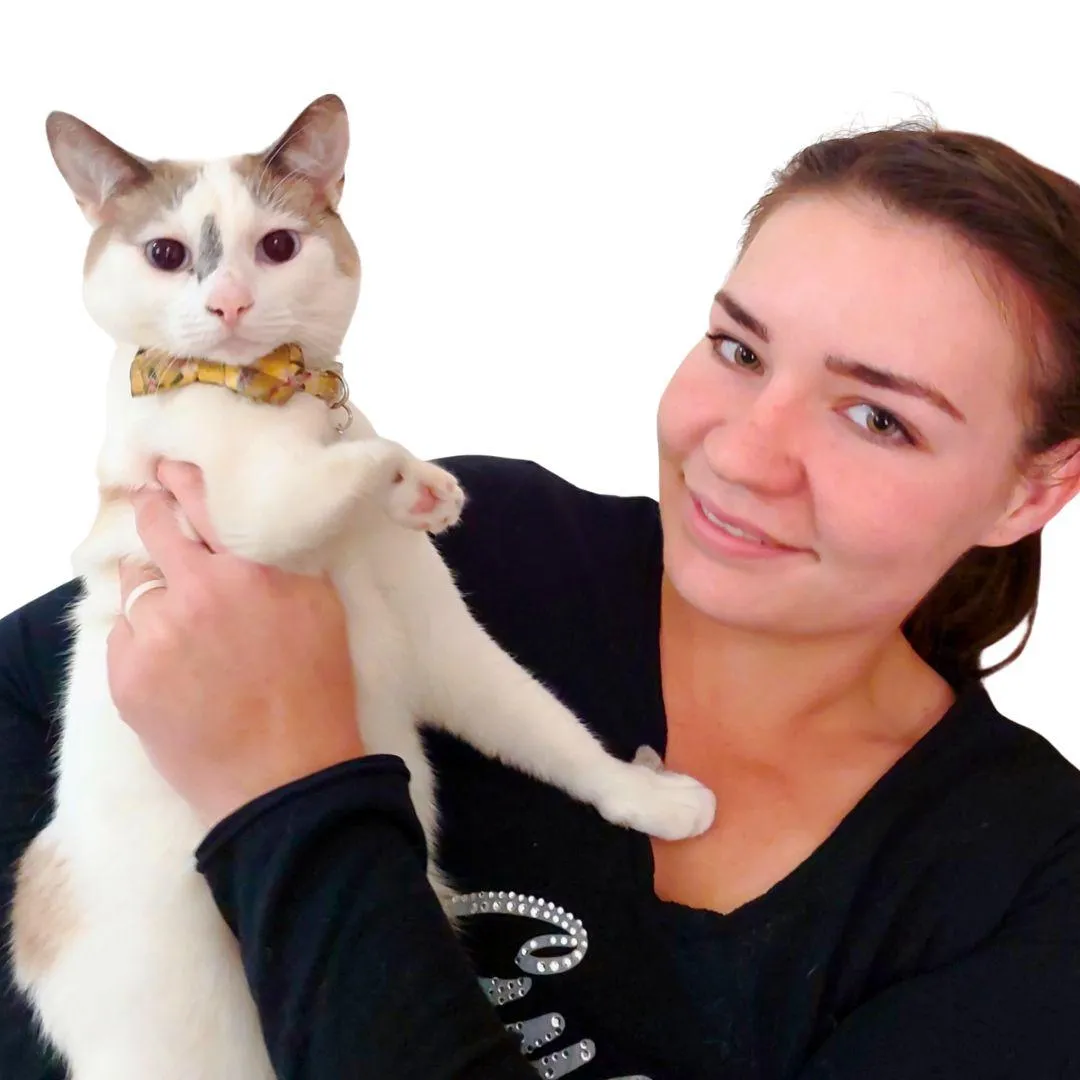 Is your practice ready for a seasonal refresh?