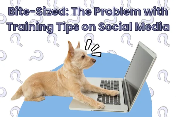 Bite-Sized: The Problem with Training Tips on Social Media