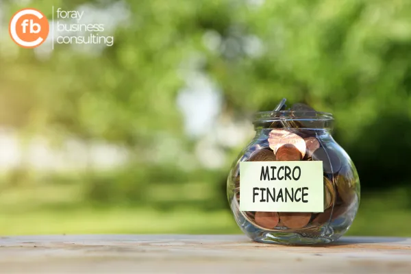 Micro-Term Loans for Small Scale Projects