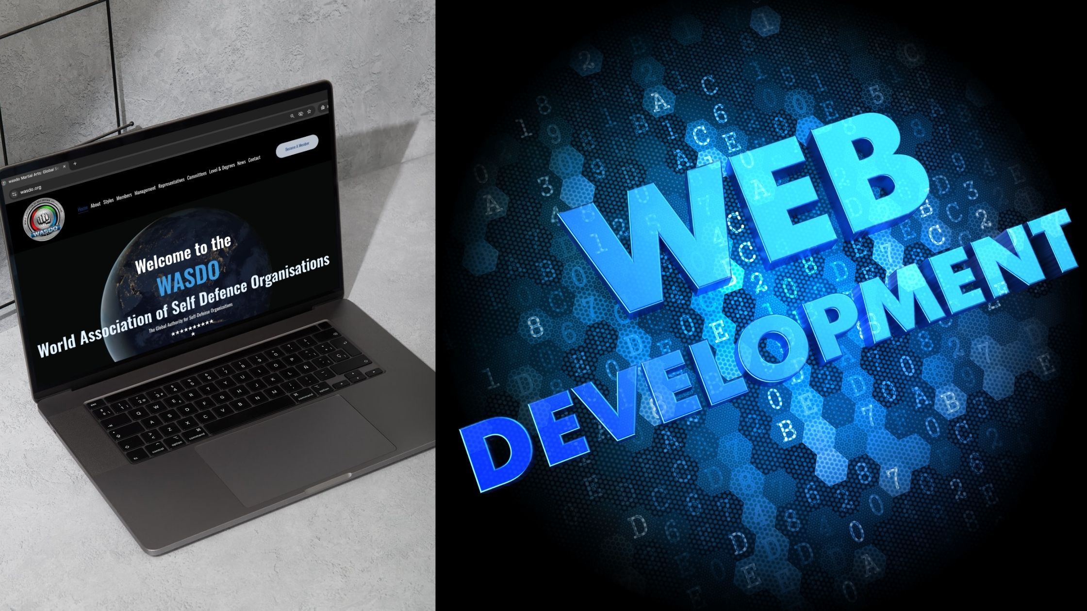 Why Investing in Professional Website Design Matters in 2026 (And What to Expect)