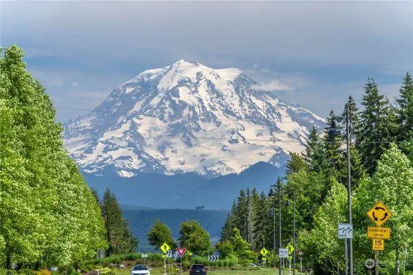 Learn about our Bonney Lake Tree Services